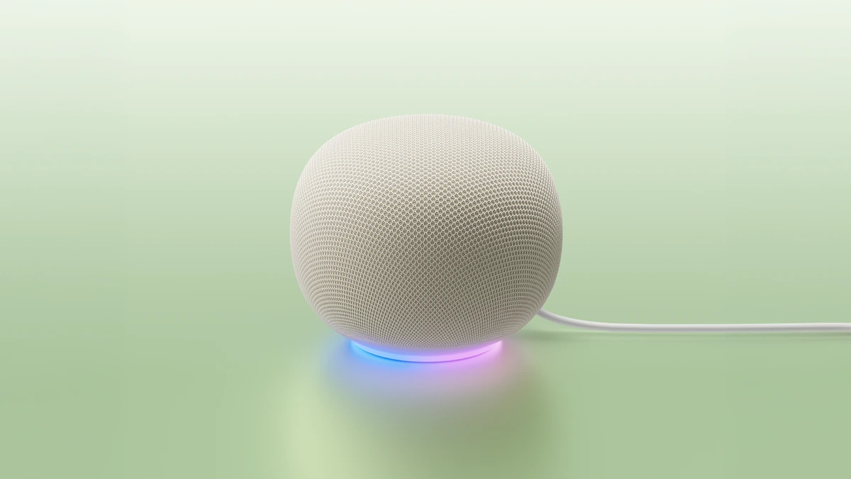 The 9.99 Google Home Speaker