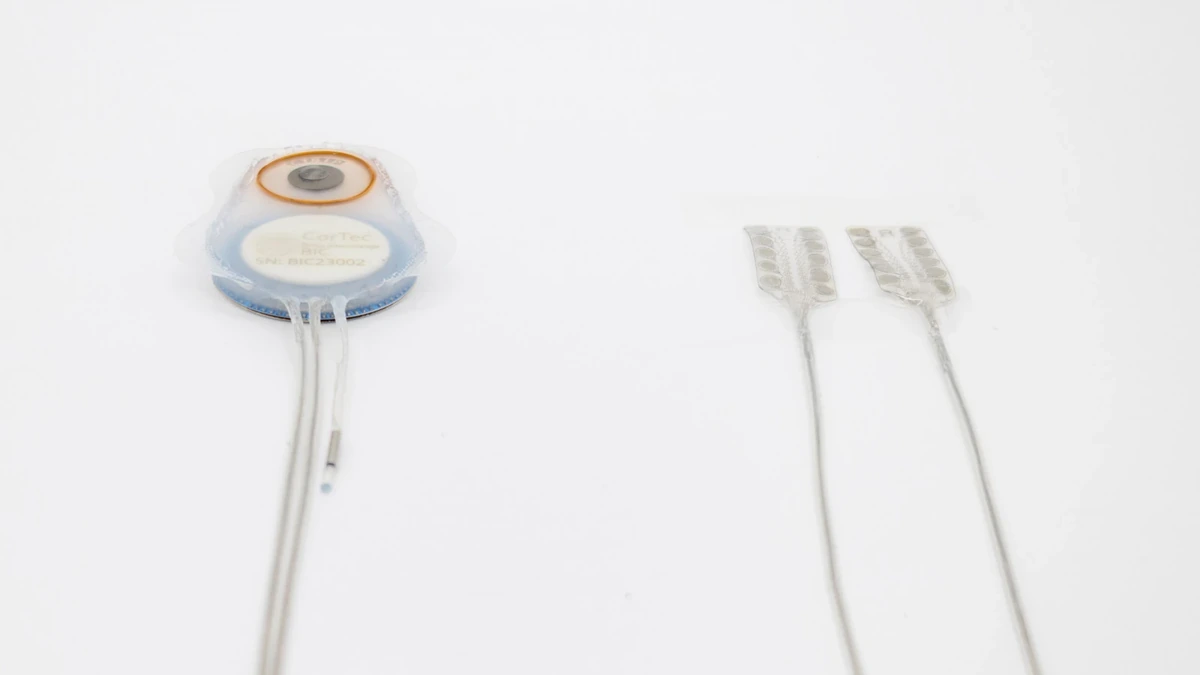 CorTec Brain Interchange implant with lead wires running to two electrode arrays, on white