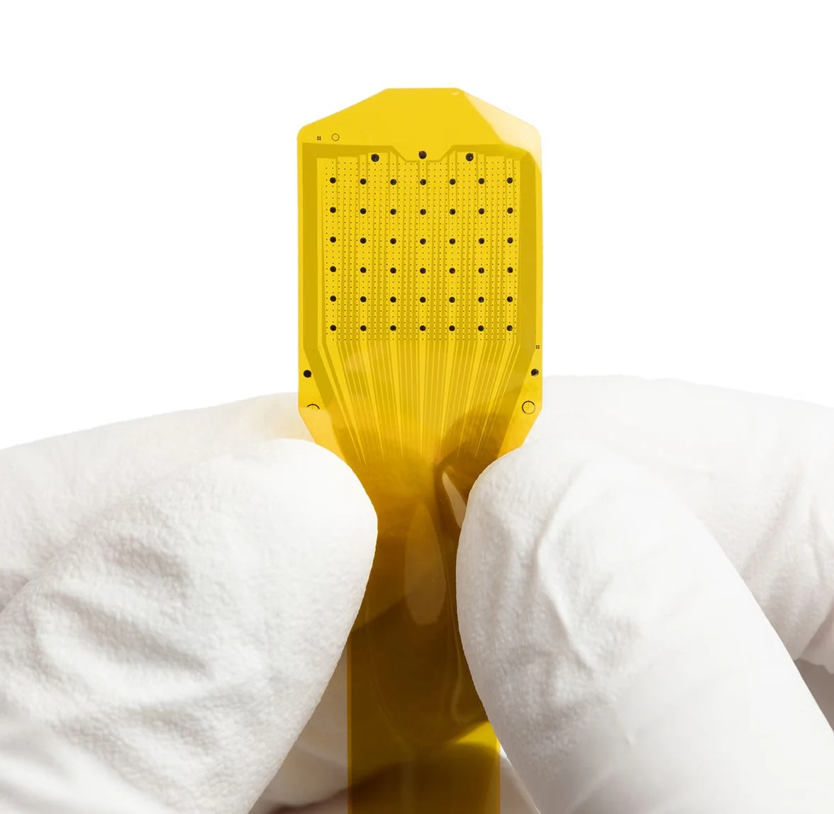 Gloved fingers hold a thin yellow electrode array that shows Precision Neuroscience's brain-computer interface