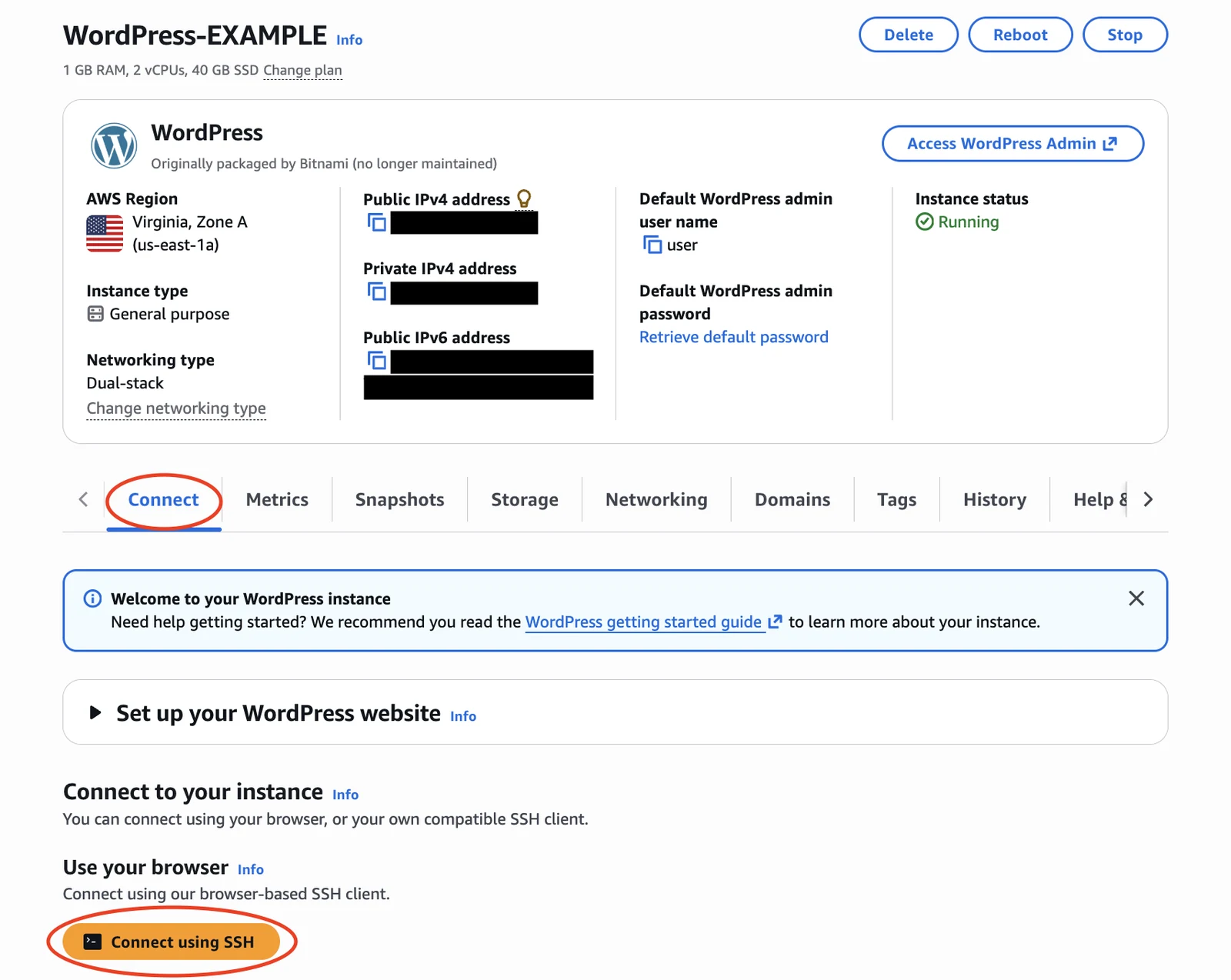 Amazon Lightsail page shows a VPS instance with options to connect to it