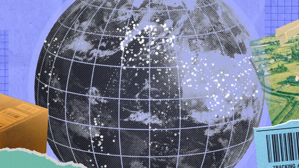 What the Migration Actually Moves