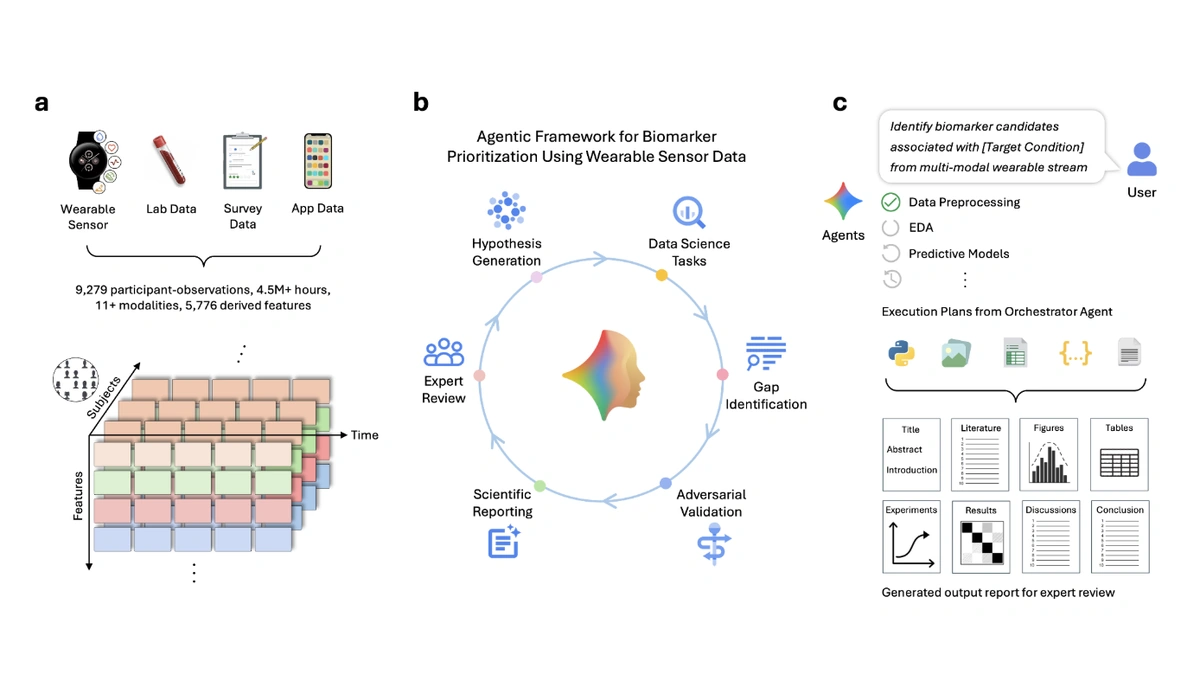 A conceptual diagram illustrating a cyclical AI-driven biomarker discovery process analyzing wearable and clinical data.