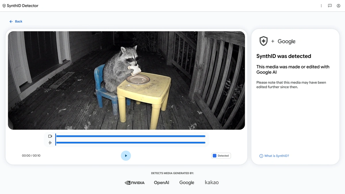 SynthID Detector web page showing a raccoon video with the result that SynthID was detected