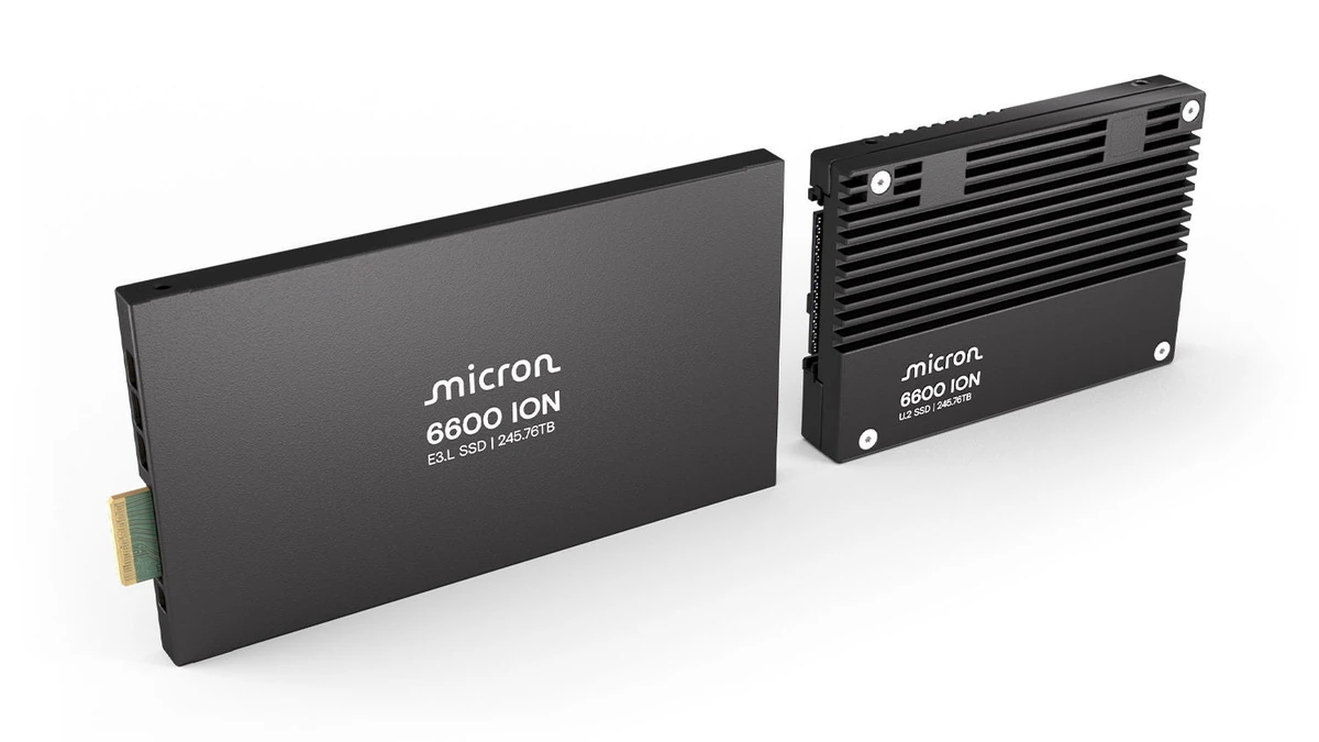 Micron 6600 ION