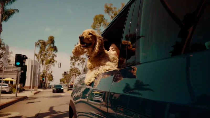 Rivian R2 with a golden retriever leaning out of its rear window on a sunny street